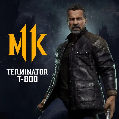 Terminator T-800 PS4 ПСН PLAYSTATION
