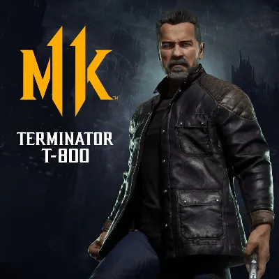 Terminator T-800 PS4 PS5 ПСН PLAYSTATION