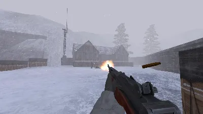 RealRTCW - Agency Weapon Pack DLC STEAM•RU ⚡️АВТО 💳0%
