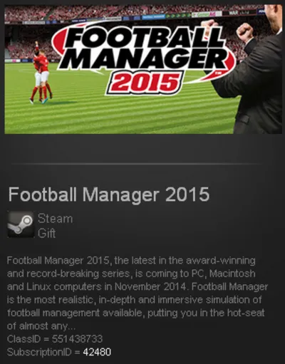 Football Manager 2015 Steam RU/CIS