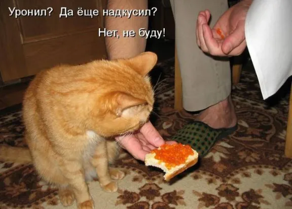 Контрольная Инженерно-технические средства охраны