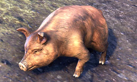 Bristlegut Piglet Pet Скан. Свинья уникальный пет TESO