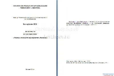 06 Практикум Оценка стоимости предприятия (новый)