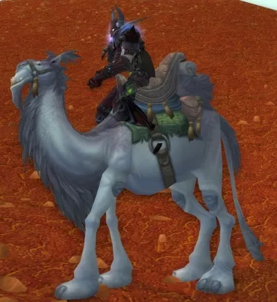 Белый Ездовой Верблюд (White Riding Camel)