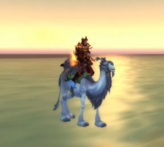 Белый Ездовой Верблюд (White Riding Camel)