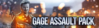 PAYDAY 2: Gage Assault Pack DLC (Steam gift / RU-CIS)