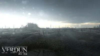 Verdun  Steam key - RU/CIS