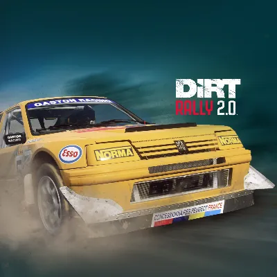 ✅DiRT Rally 2.0 - Peugeot 205 T16 Rallycross✅PS4✅ПСН