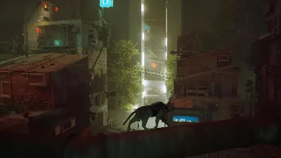 Stray КЛЮЧ🔑 STEAM РФ+СНГ