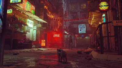 Stray КЛЮЧ🔑 STEAM РФ+СНГ