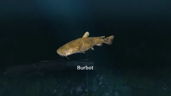 ✅💙ULTIMATE FISHING SIMULATOR - NEW FISH SPECIES💙STEAM