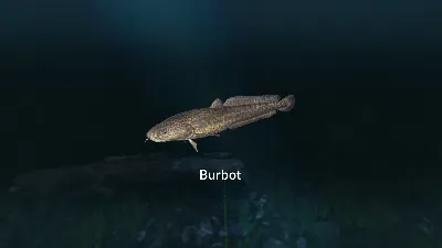 ✅💙ULTIMATE FISHING SIMULATOR - NEW FISH SPECIES💙STEAM