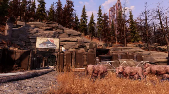 Fallout 76 + Gone Fission (Все Издания) Steam Ключ