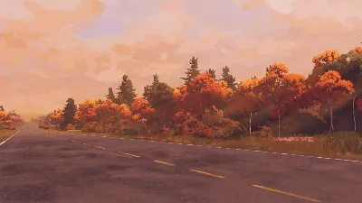 Open Roads