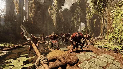 ✅Warhammer Vermintide 2 Collector&acute;s Edition ⭐Steam\Key⭐