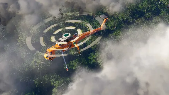 ✅💙MICROSOFT FLIGHT SIMULATOR 2024 - AVIATOR EDITION💙