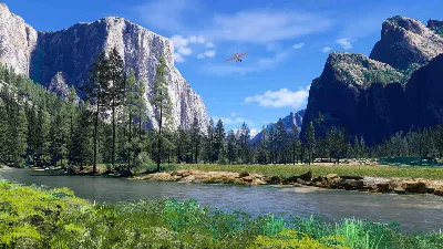 ✅💙MICROSOFT FLIGHT SIMULATOR 2024 - AVIATOR EDITION💙