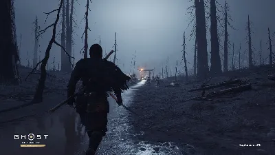 СНГ (БЕЗ РФ) | Ghost of Tsushima DIRECTOR&acute;S CUT | STEAM КЛЮЧ