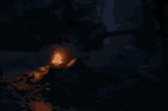 🌌Avowed Standard Edition подарок-Steam🌌