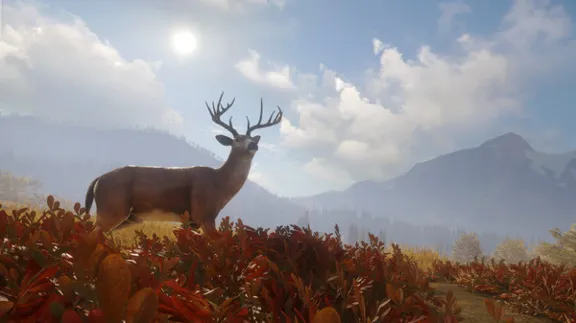 ⚡theHunter: Call of the Wild|АВТОДОСТАВКА RU Steam Gift