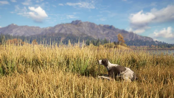 theHunter: Call of the Wild™ - German Shorthaired Pointer DLC