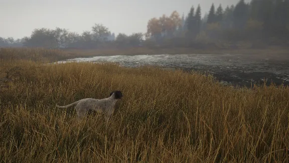 theHunter: Call of the Wild™ - German Shorthaired Pointer DLC