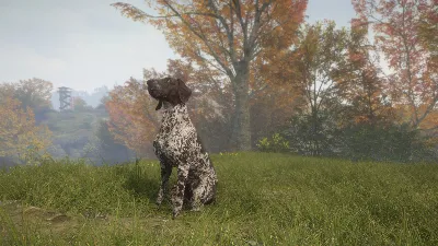 theHunter: Call of the Wild™ - German Shorthaired Pointer DLC