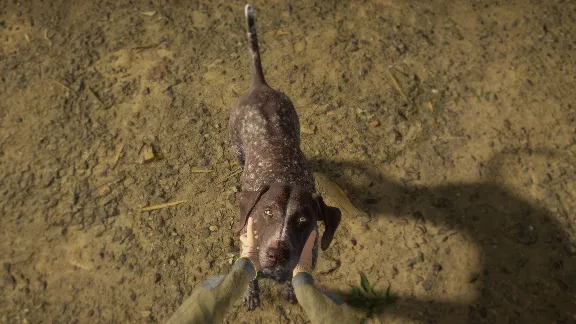 theHunter: Call of the Wild™ - German Shorthaired Pointer DLC