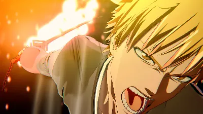BLEACH Rebirth of Souls⚡АВТОДОСТАВКА Steam RU/BY/KZ/UA