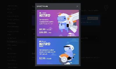 1-12 МЕСЯЦЕВ DISCORD NITRO/BASIC ❤ ОБНОВЛЕНИЕ ВЛАДЕЛЬЦА