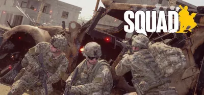 Squad (Steam key) RU CIS
