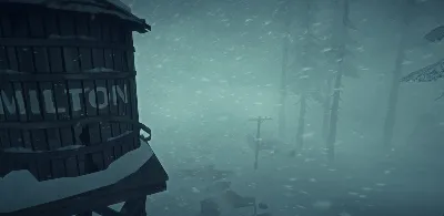 The Long Dark АВТОДОСТАВКА STEAM GLOBAL МГНОВЕННО ЛИЦЕНЗИЯ
