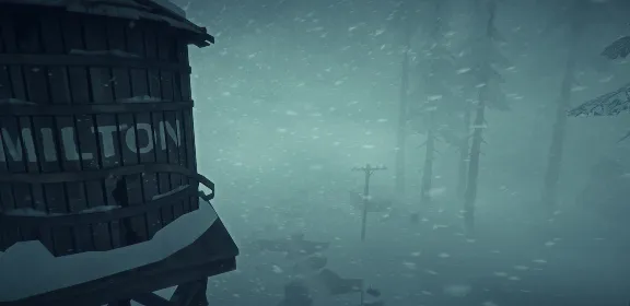 The Long Dark АВТОДОСТАВКА STEAM GLOBAL МГНОВЕННО ЛИЦЕНЗИЯ