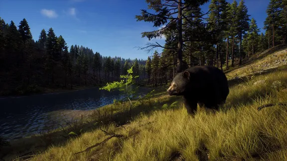 Way of the Hunter (STEAM КЛЮЧ) РФ+КЗ+СНГ | РУССКИЙ ЯЗЫК