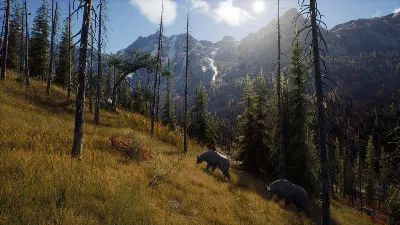 Way of the Hunter (STEAM КЛЮЧ) РФ+КЗ+СНГ | РУССКИЙ ЯЗЫК