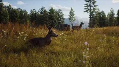 Way of the Hunter (STEAM КЛЮЧ) РФ+КЗ+СНГ | РУССКИЙ ЯЗЫК