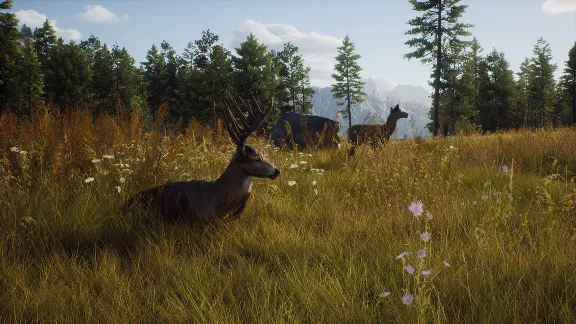 Way of the Hunter (STEAM КЛЮЧ) РФ+КЗ+СНГ | РУССКИЙ ЯЗЫК