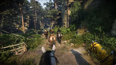 Kingdom Come: Deliverance II | +DLC (STEAM KEY) RU+CIS