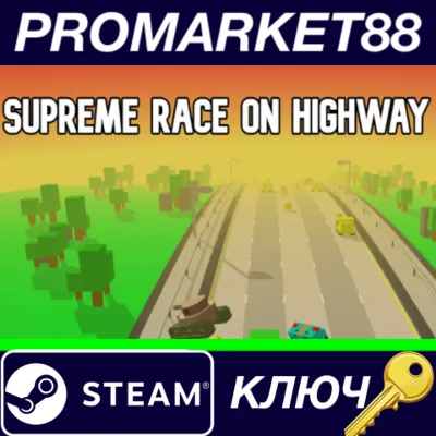 ⭐ Supreme Race on Highway Steam Key 🔑 GLOBAL