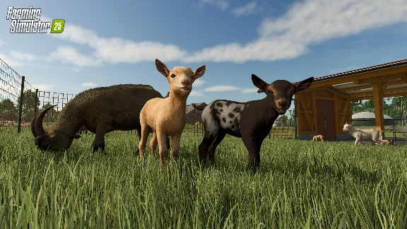 🎮Farming Simulator 25 🌾РФ + СНГ STEAM КЛЮЧ 🔑