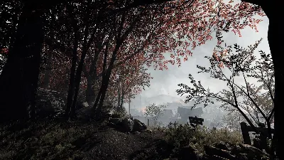 Warhammer: Vermintide 2 / Collection /STEAM КЛЮЧ РФ+СНГ