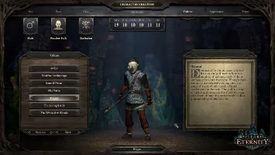 ⭐ Pillars of Eternity Definitive Edition Steam КЛЮЧ