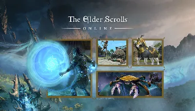✅TESO: 2025 Content Pass ESO🔑Ключ