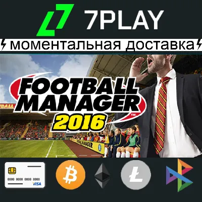 Football Manager 2016 - Offline Steam Account [24/7]
