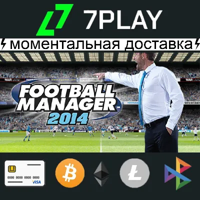 Football Manager 2014 - Offline Steam Account [24/7]