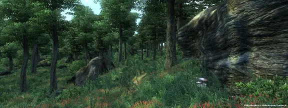 The Elder Scrolls IV: Oblivion GOTY · Standard/Deluxe
