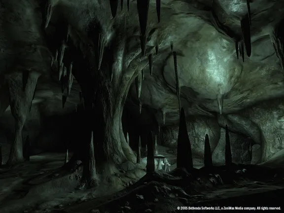 THE ELDER SCROLLS IV: OBLIVION GOTY/DELUXE РФ+ВЕСЬ МИР