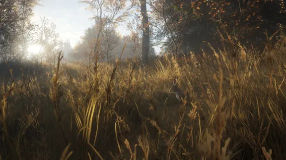 theHunter: Call of the Wild + 35 DLC | Steam | AUTO-GUARD 24/7