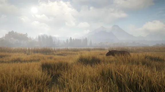 theHunter: Call of the Wild + 35 DLC | Steam | AUTO-GUARD 24/7