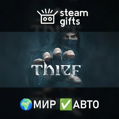 Thief МИР АВТО